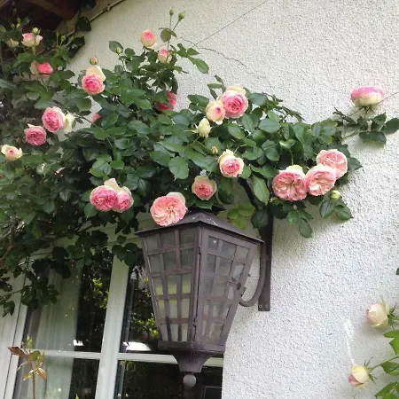 Le Petit Val Rose Villennes-sur-Seine